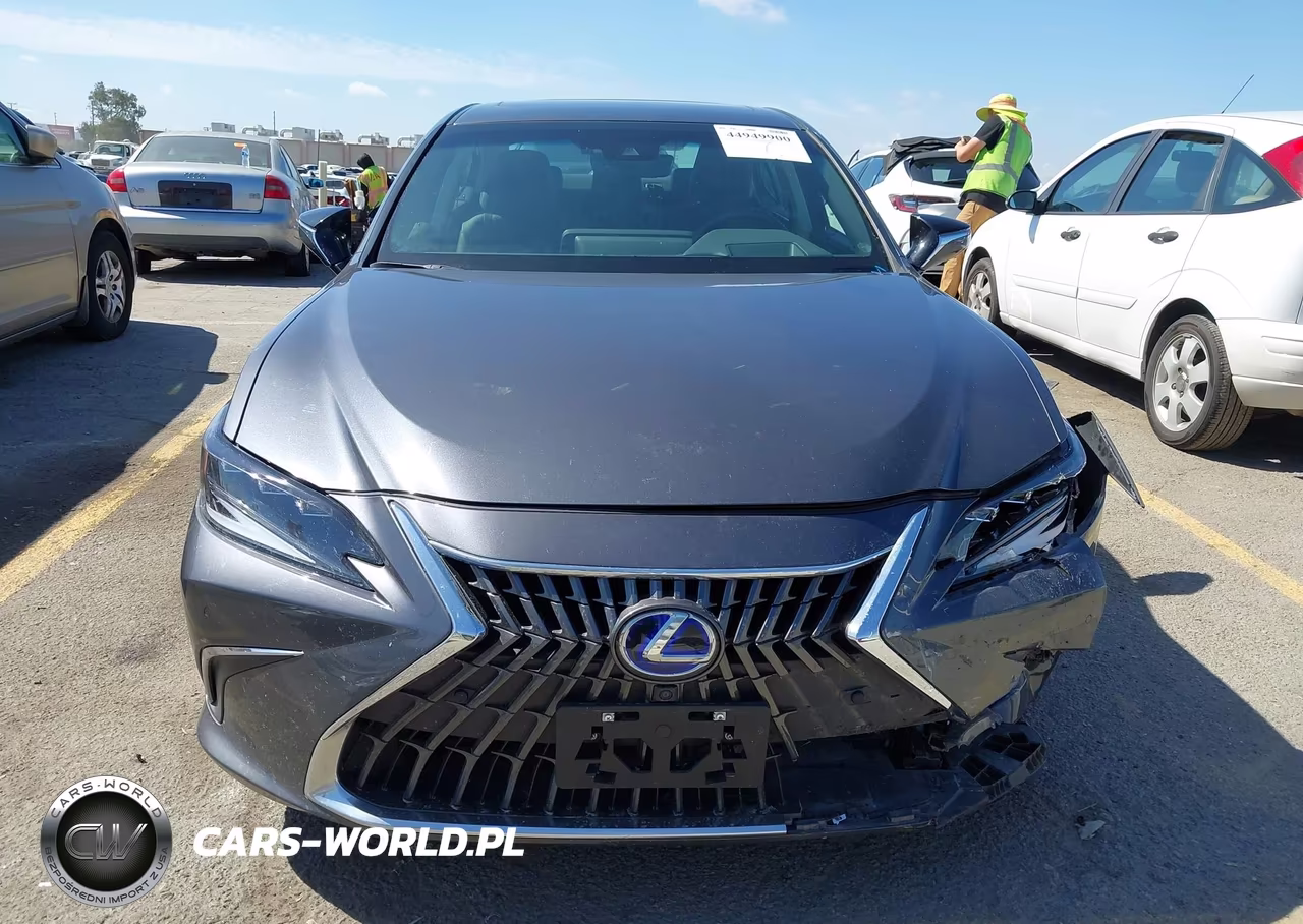 2022 Lexus Es 300H Luxury VIN:58AEA1C15NU021346 - 12