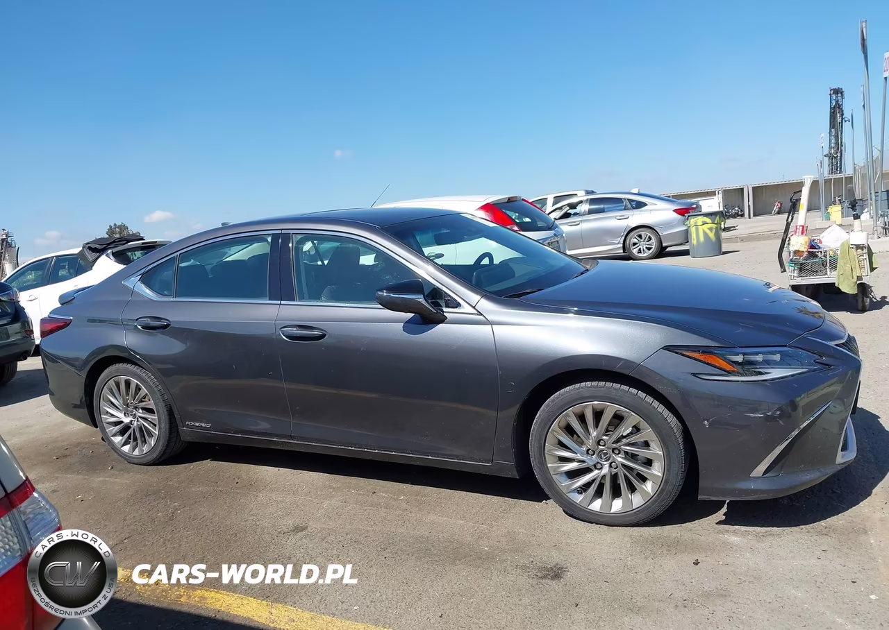 2022 Lexus Es 300H Luxury VIN:58AEA1C15NU021346 - 13