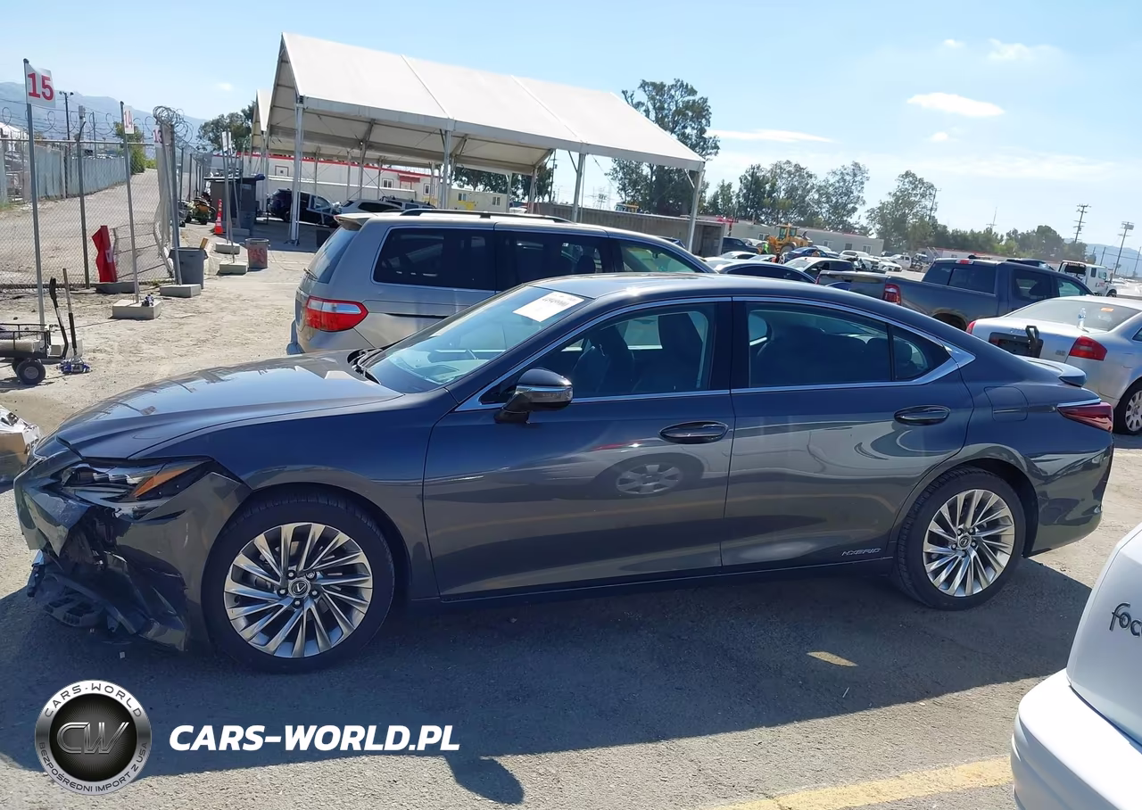 2022 Lexus Es 300H Luxury VIN:58AEA1C15NU021346 - 14