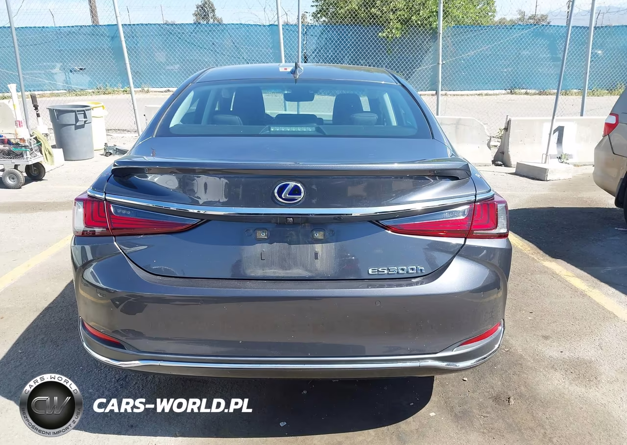 2022 Lexus Es 300H Luxury VIN:58AEA1C15NU021346 - 16