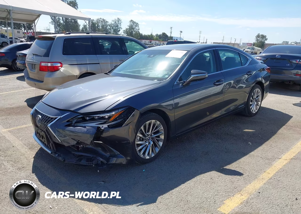 2022 Lexus Es 300H Luxury VIN:58AEA1C15NU021346 - 2
