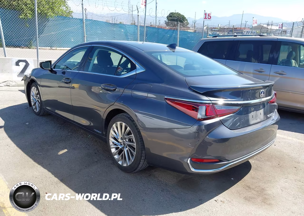2022 Lexus Es 300H Luxury VIN:58AEA1C15NU021346 - 3