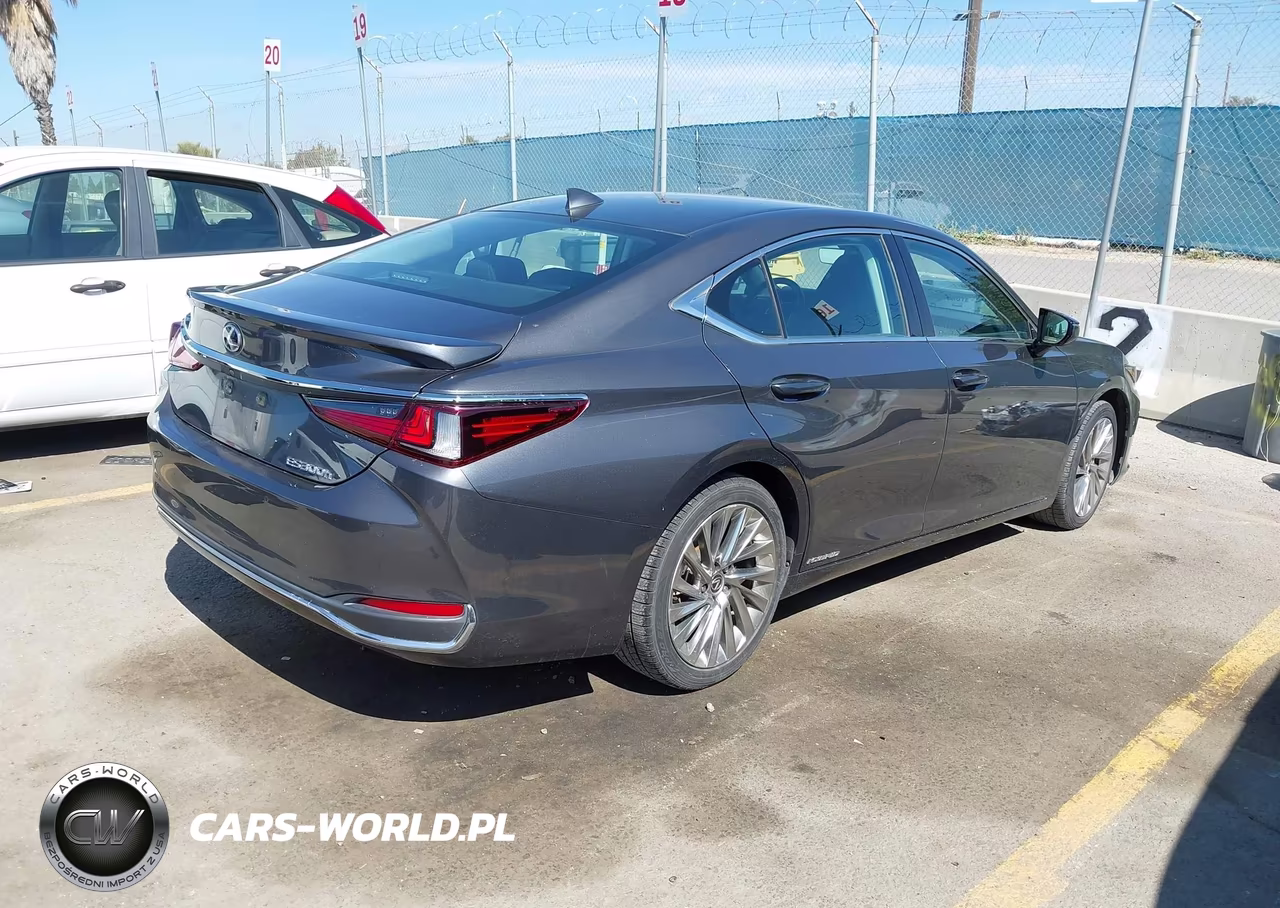 2022 Lexus Es 300H Luxury VIN:58AEA1C15NU021346 - 4