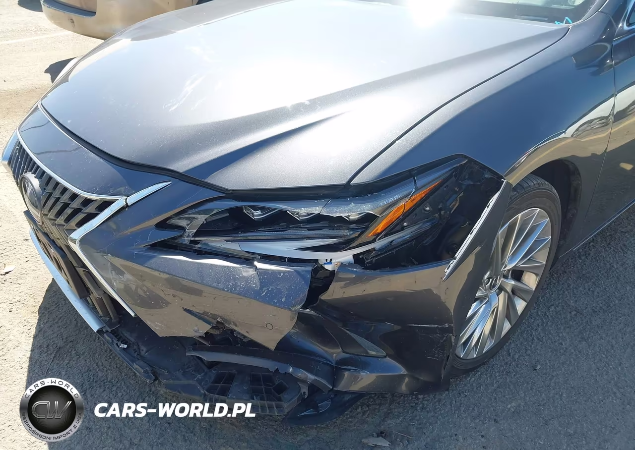 2022 Lexus Es 300H Luxury VIN:58AEA1C15NU021346 - 6