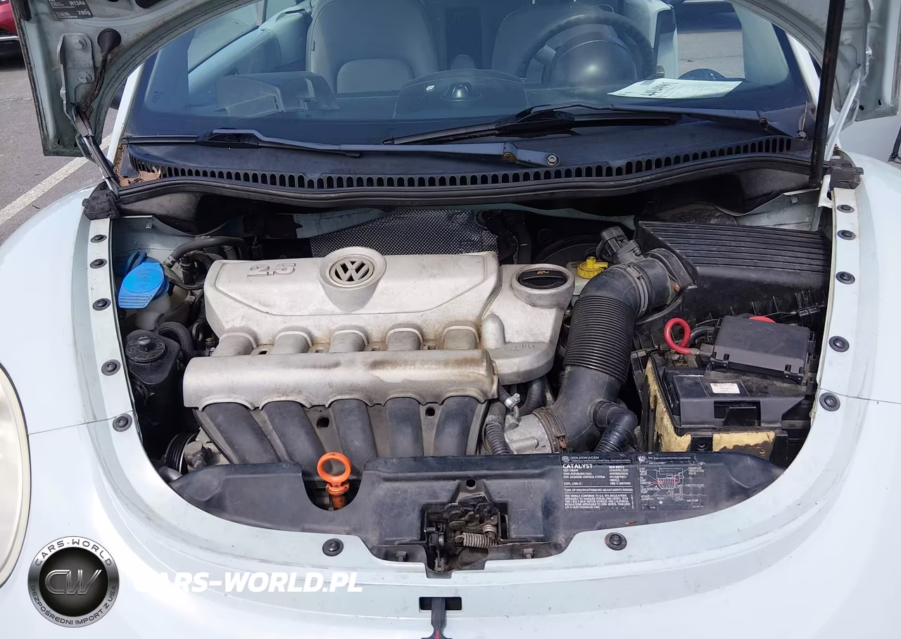 2006 Volkswagen New Beetle 2.5 VIN:3VWRF31Y56M319070 - 10
