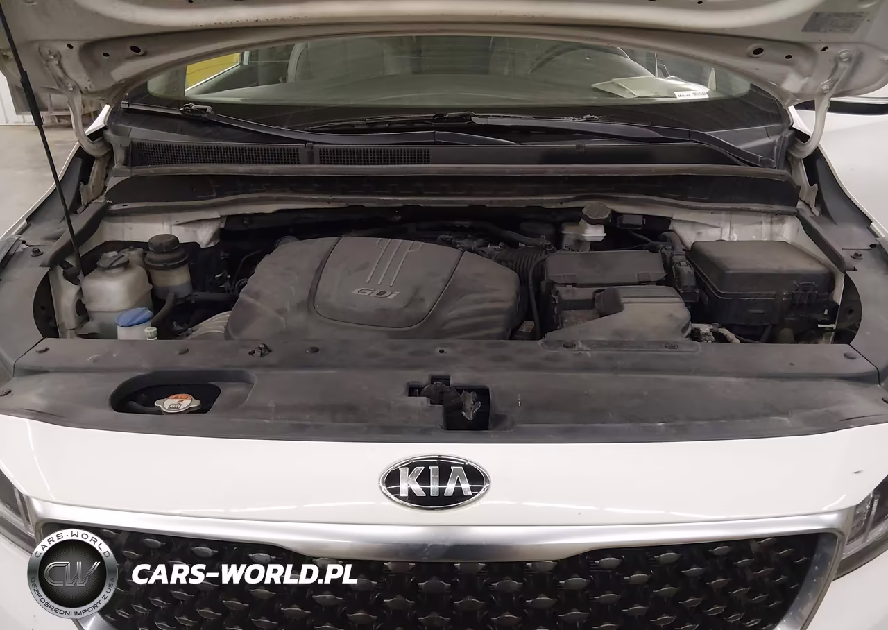 2016 Kia Sedona Lx VIN:KNDMB5C13G6158059 - 10