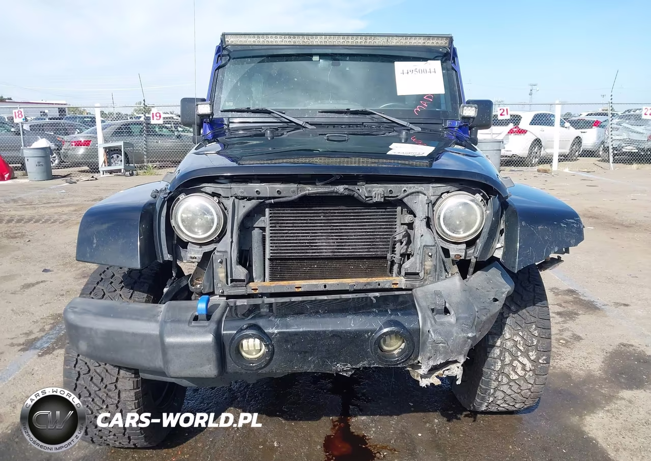 2016 Jeep Wrangler Unlimited Sahara VIN:1C4BJWEG2GL253005 - 13