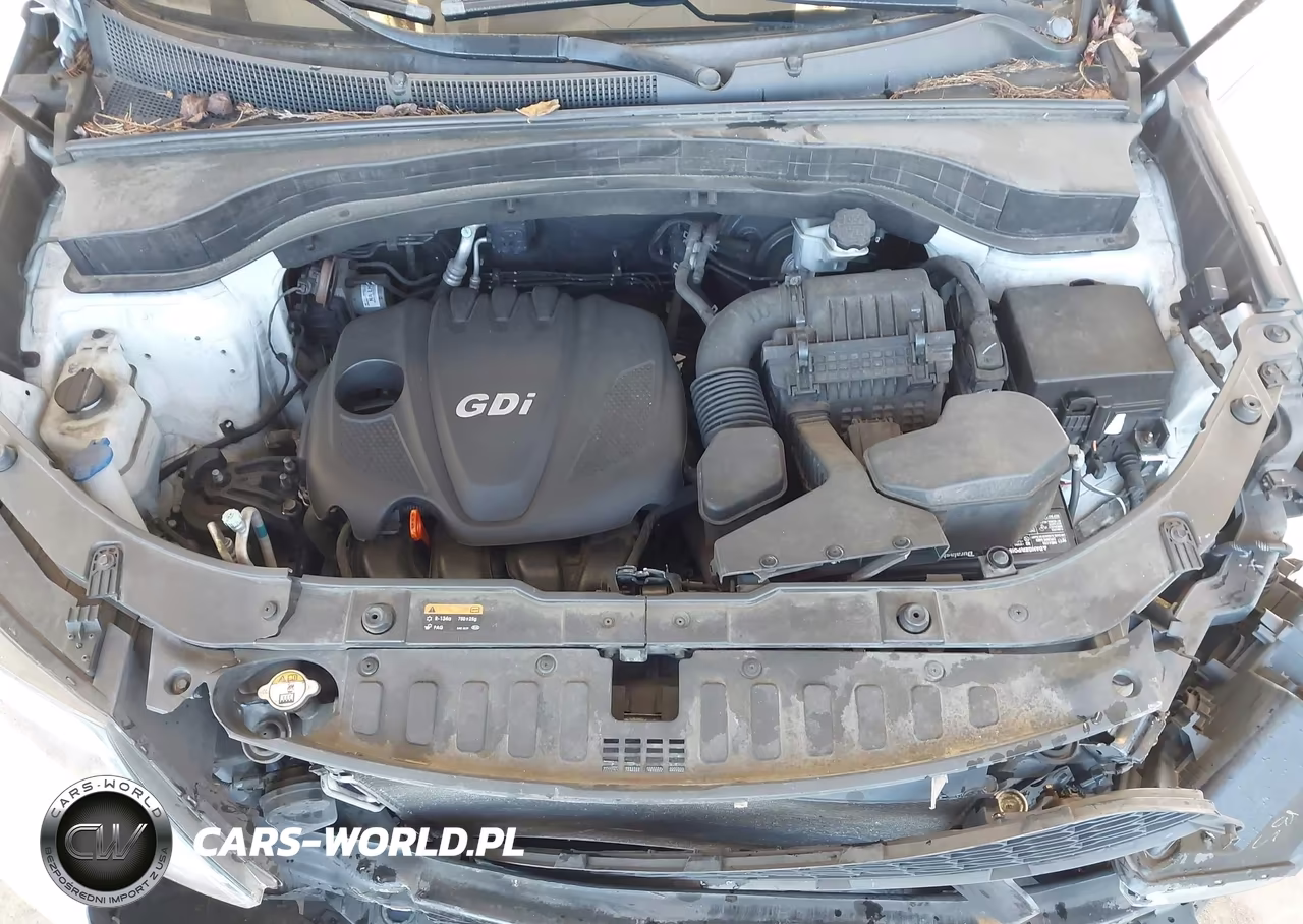 2014 Kia Sorento Lx VIN:5XYKT4A62EG501693 - 10