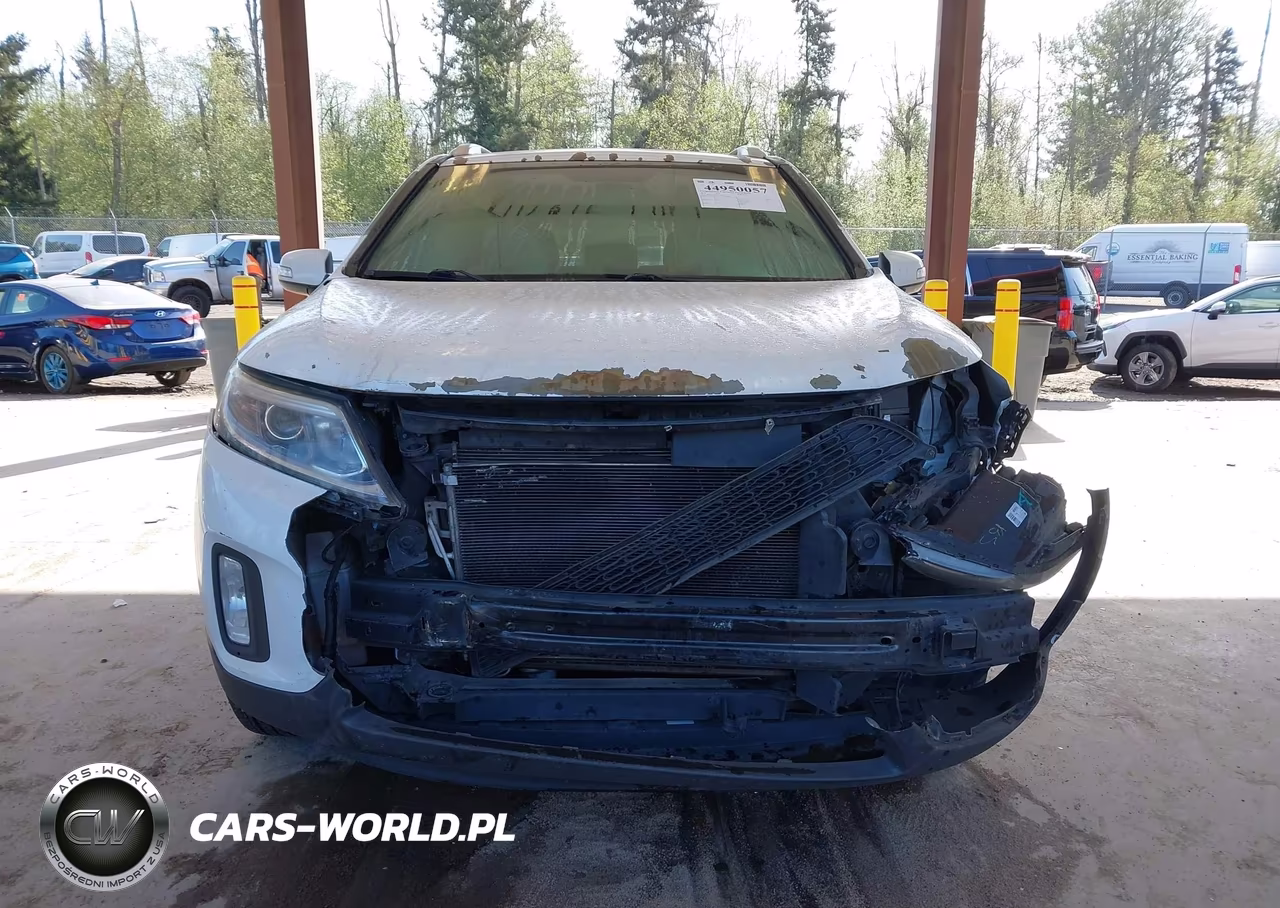 2014 Kia Sorento Lx VIN:5XYKT4A62EG501693 - 13