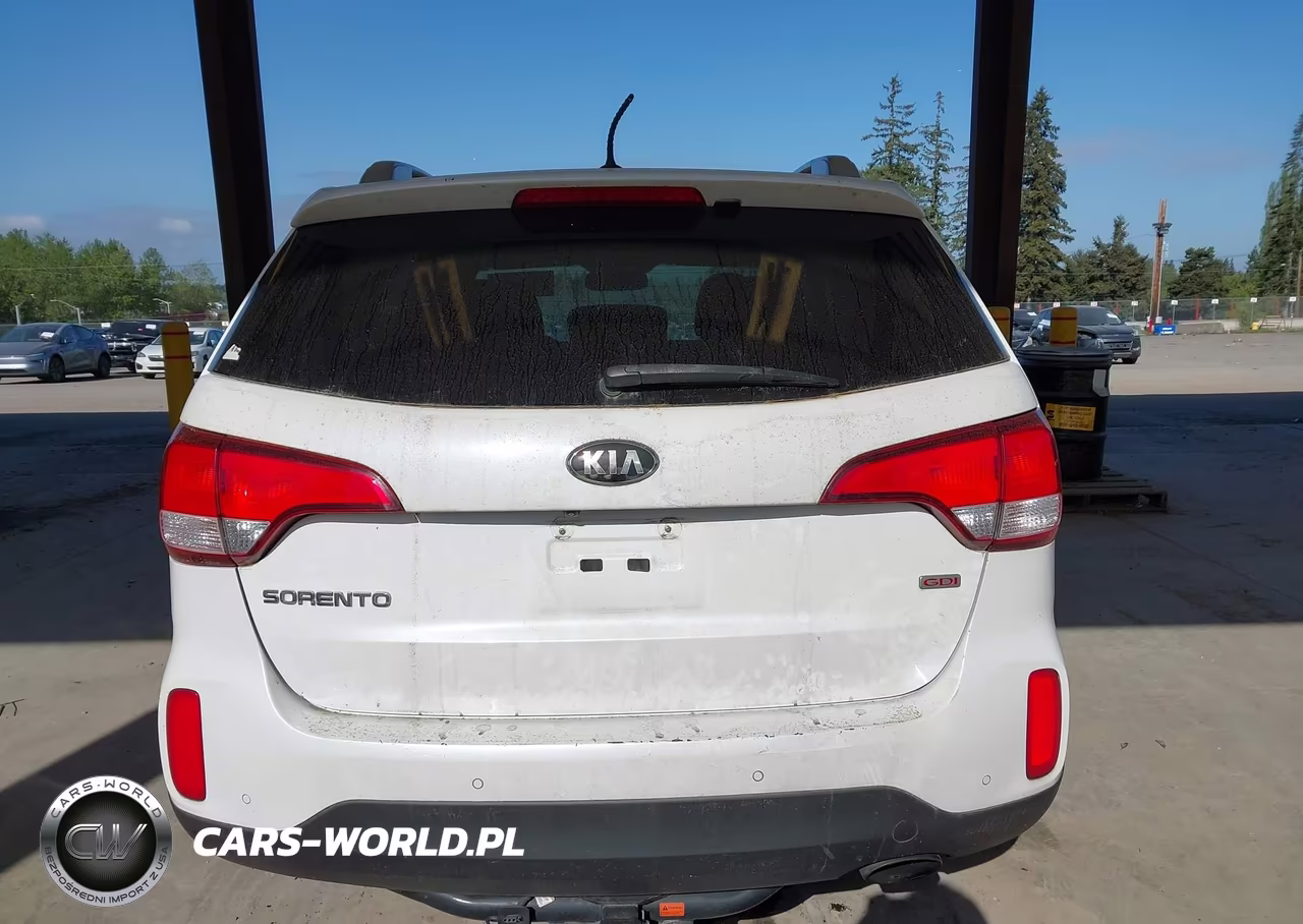 2014 Kia Sorento Lx VIN:5XYKT4A62EG501693 - 17