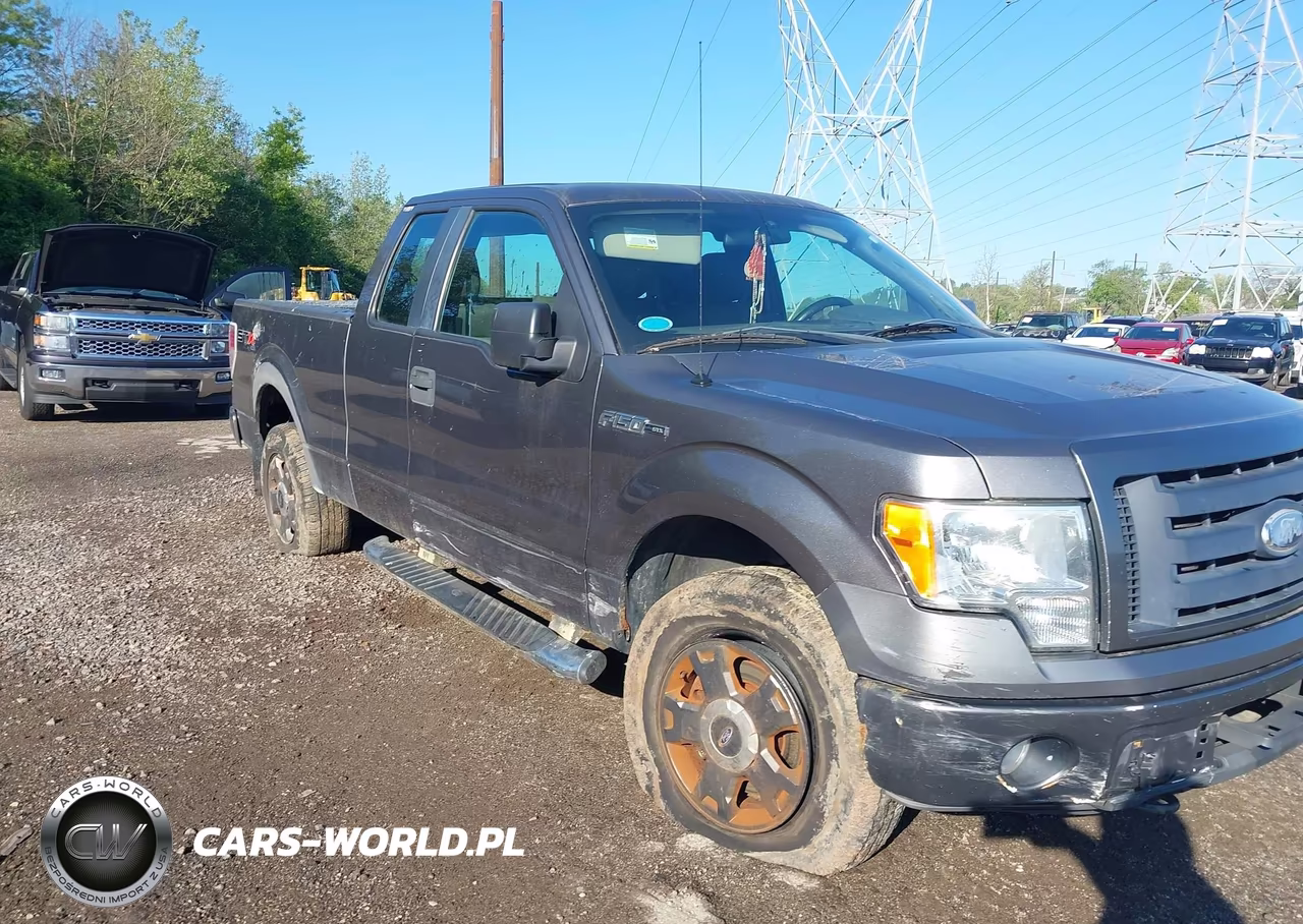 Główne zdjęcie 2010 Ford F-150 Stx-Xl-Xlt