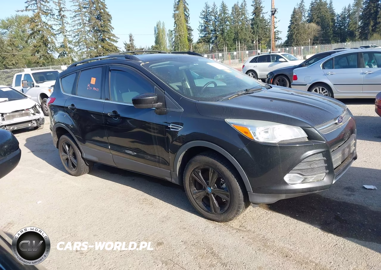 2013 Ford Escape Se