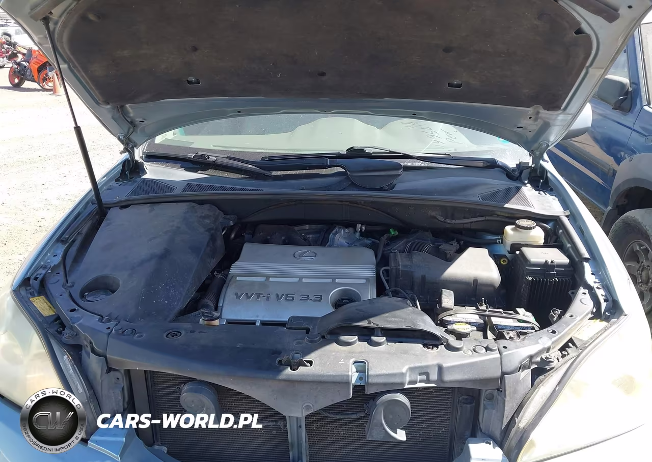 2005 Lexus Rx 330 VIN:2T2GA31U35C034473 - 10