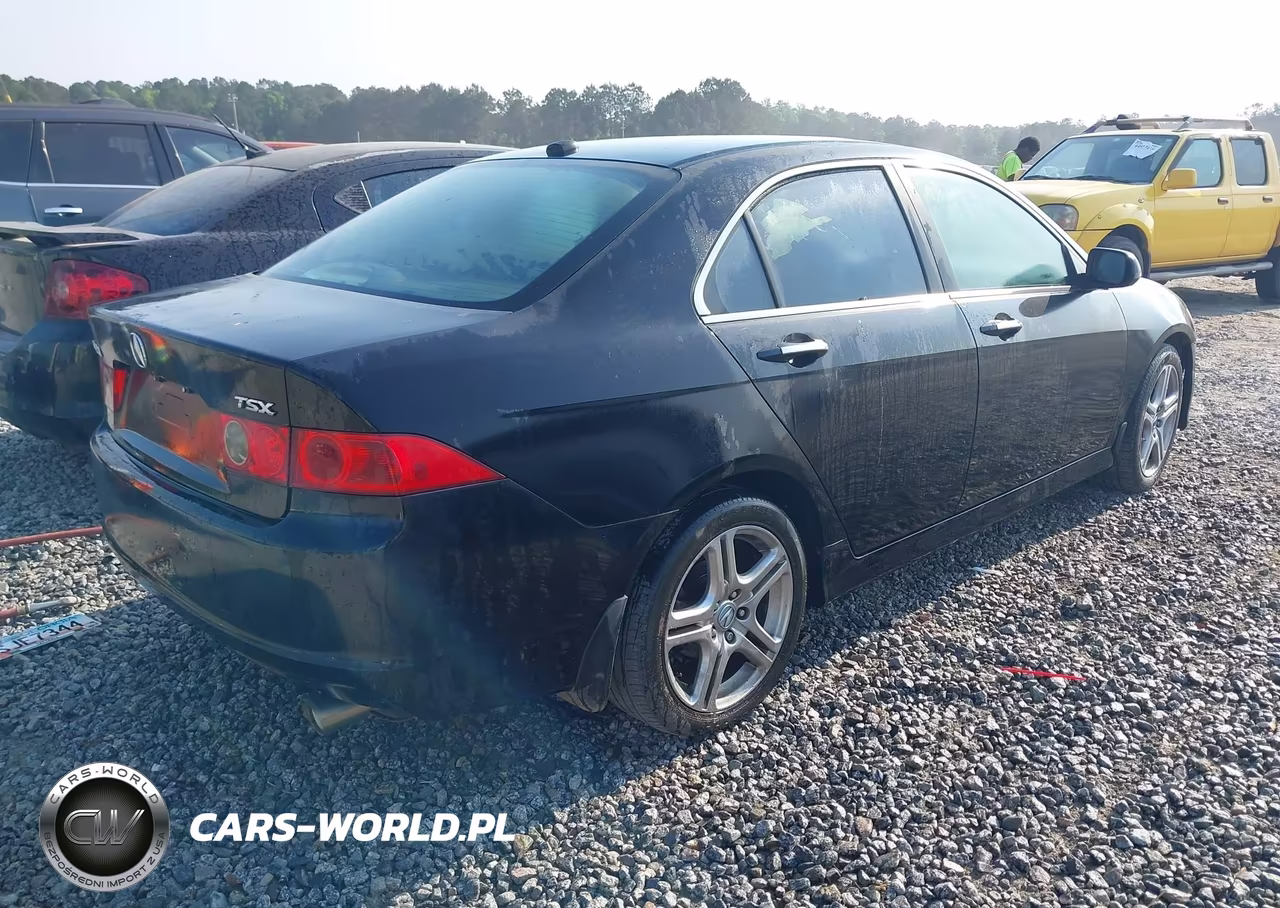 2006 Acura Tsx VIN:JH4CL96986C037480 - 4