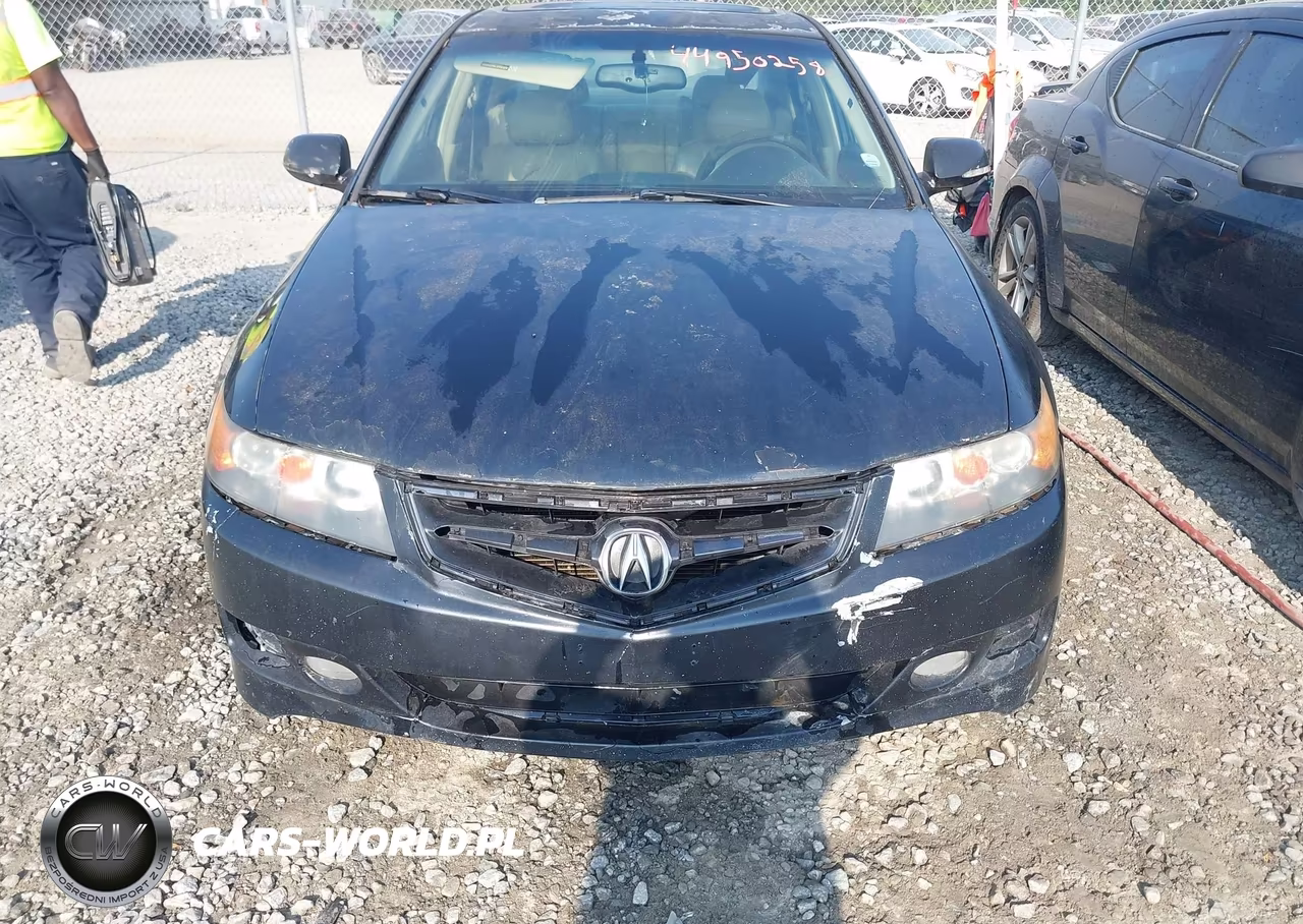2006 Acura Tsx VIN:JH4CL96986C037480 - 6