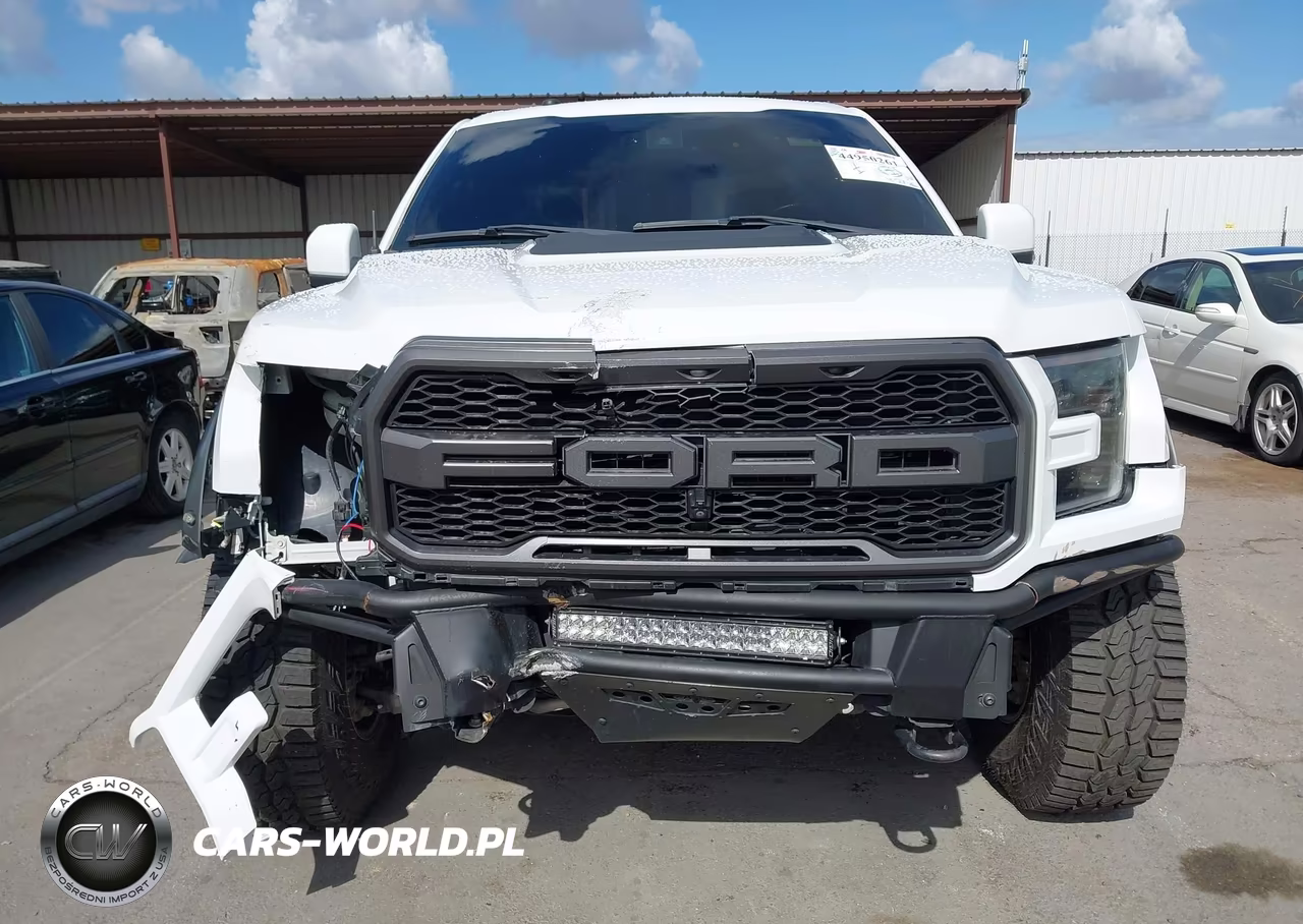 2018 Ford F-150 Raptor VIN:1FTFW1RG3JFA94131 - 12