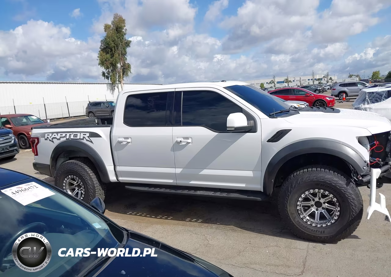 2018 Ford F-150 Raptor VIN:1FTFW1RG3JFA94131 - 13