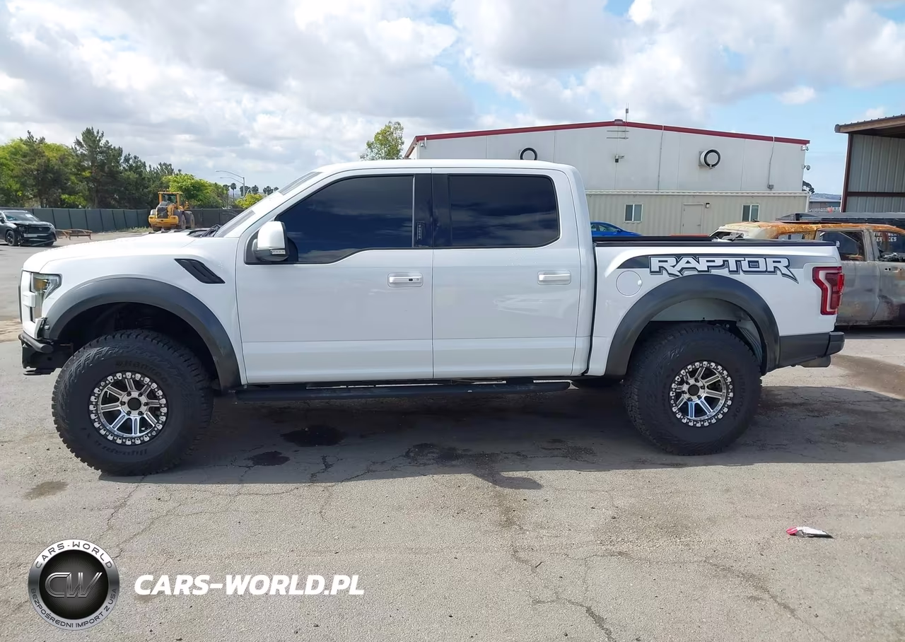 2018 Ford F-150 Raptor VIN:1FTFW1RG3JFA94131 - 14