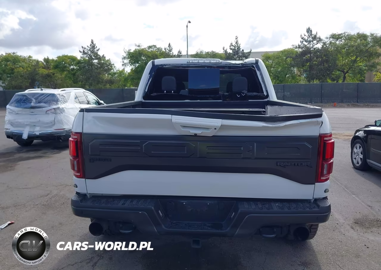 2018 Ford F-150 Raptor VIN:1FTFW1RG3JFA94131 - 16