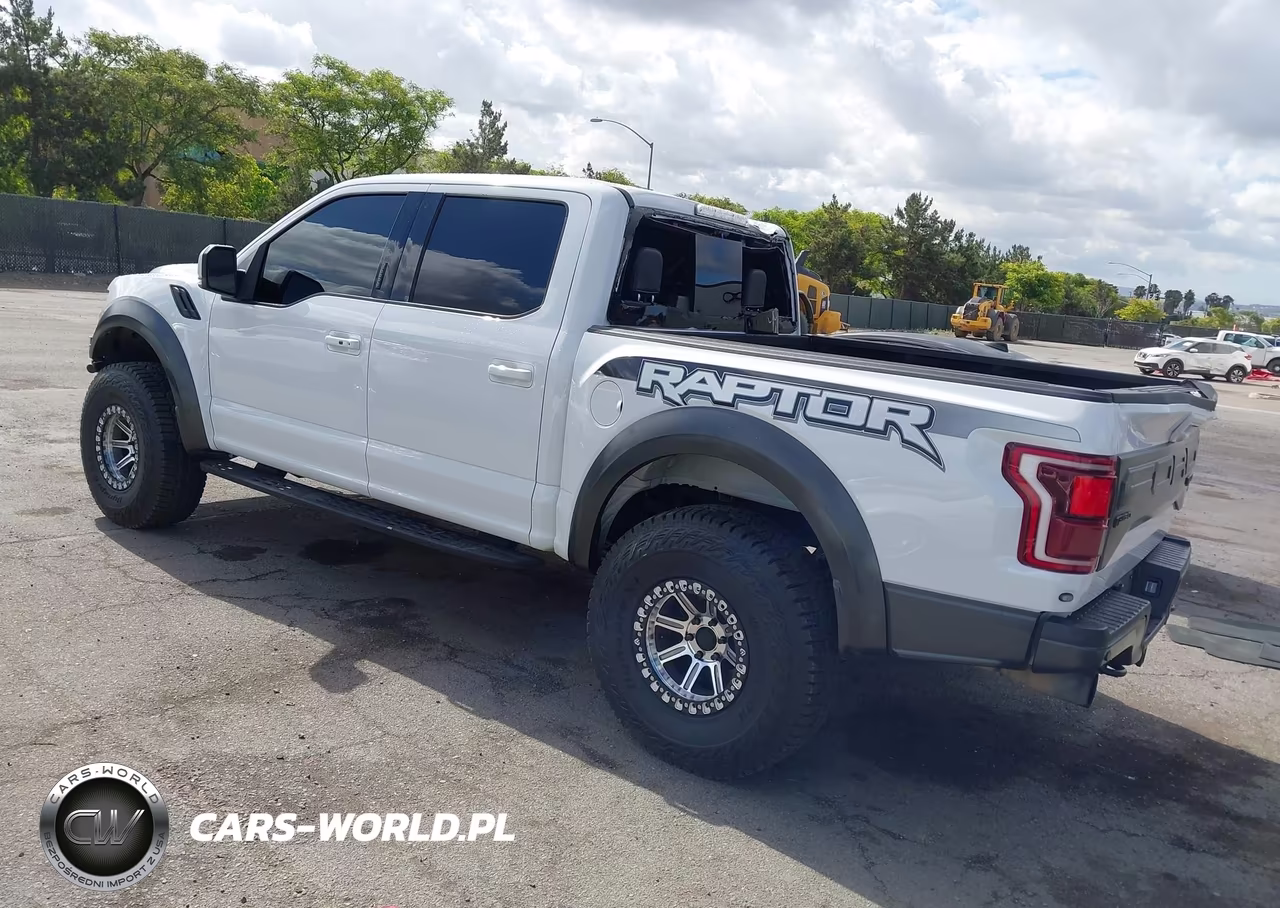 2018 Ford F-150 Raptor VIN:1FTFW1RG3JFA94131 - 3