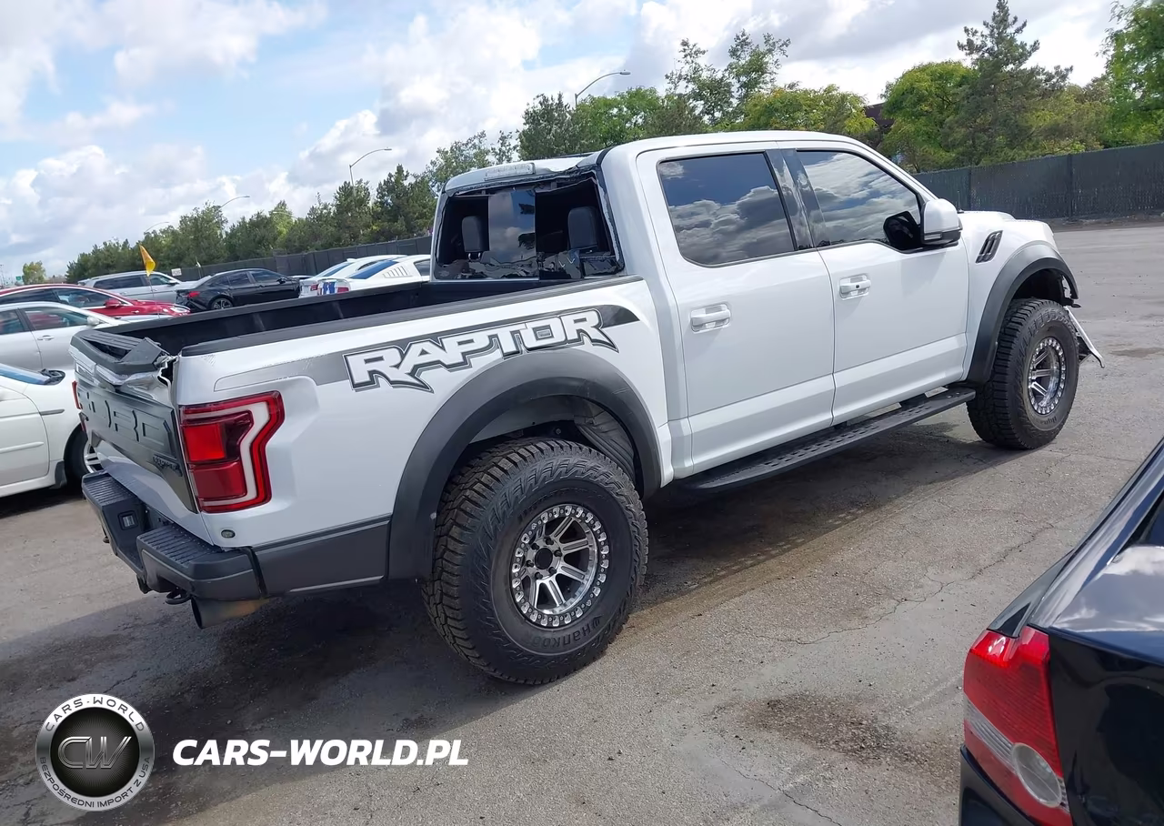 2018 Ford F-150 Raptor VIN:1FTFW1RG3JFA94131 - 4