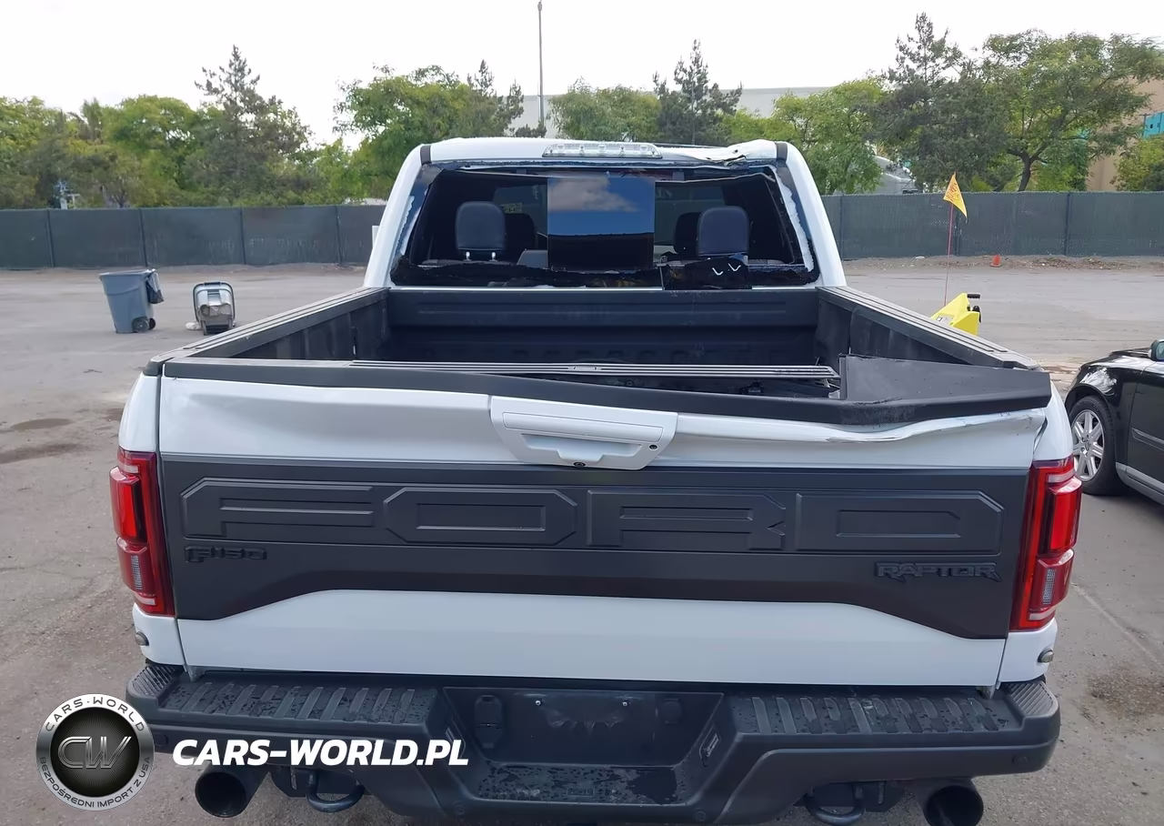 2018 Ford F-150 Raptor VIN:1FTFW1RG3JFA94131 - 6