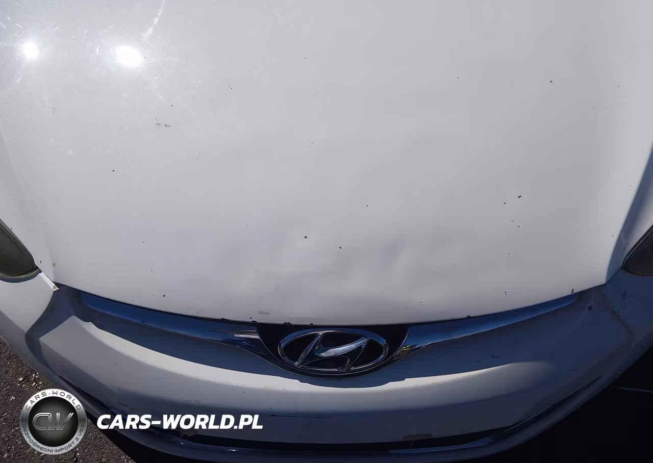 2014 Hyundai Elantra Se VIN:5NPDH4AE8EH459217 - 6