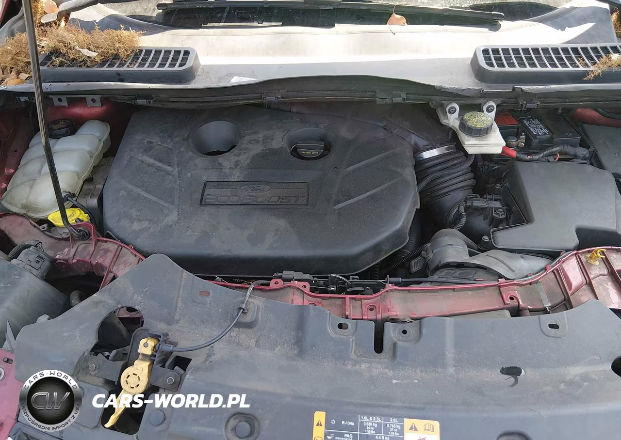 2013 Ford Escape Titanium VIN:1FMCU0J92DUB46733 - 10