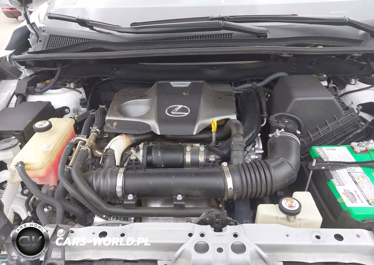 2019 Lexus Nx 300 VIN:JTJYARBZ2K2134657 - 10
