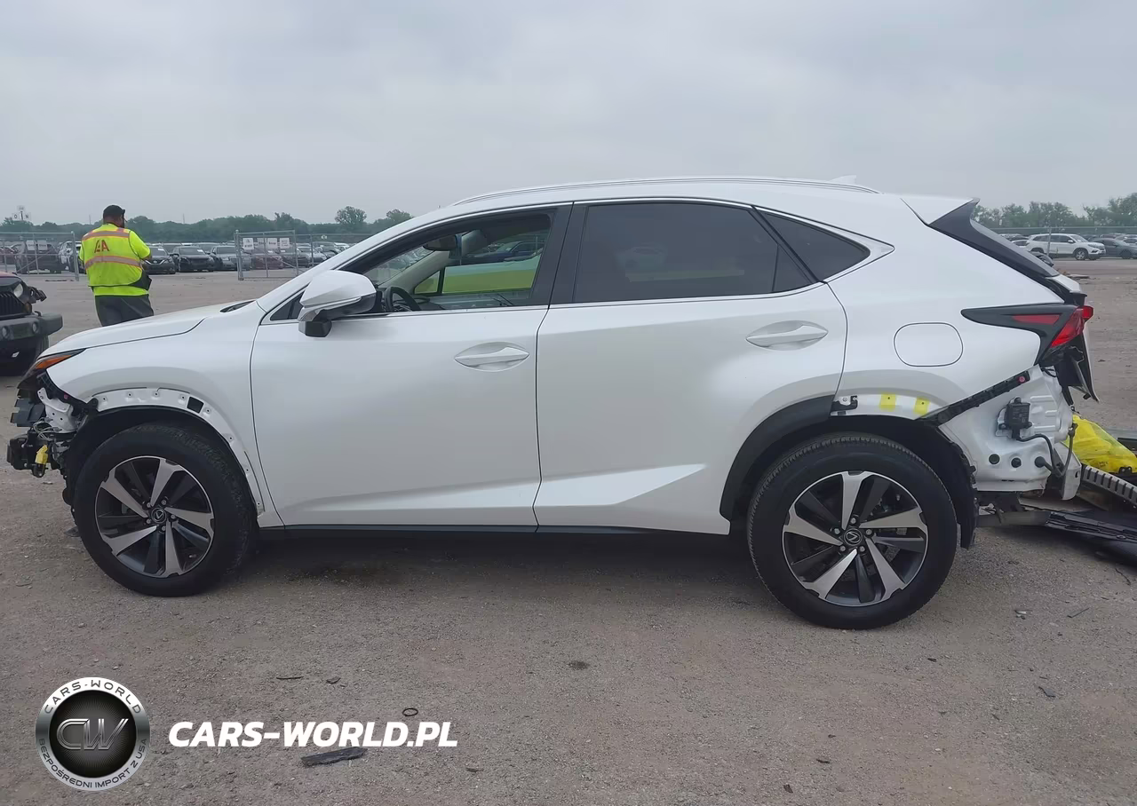 2019 Lexus Nx 300 VIN:JTJYARBZ2K2134657 - 14