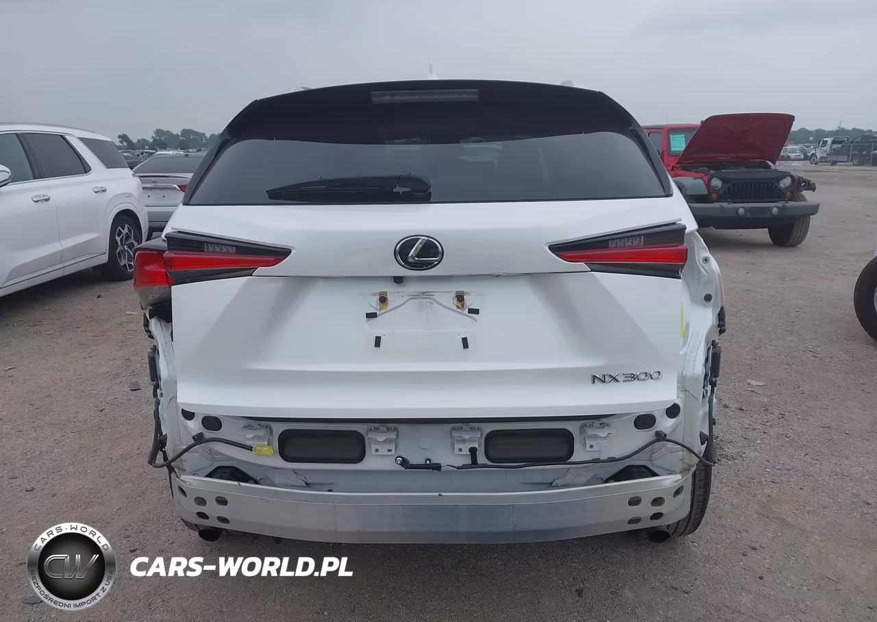 2019 Lexus Nx 300 VIN:JTJYARBZ2K2134657 - 16