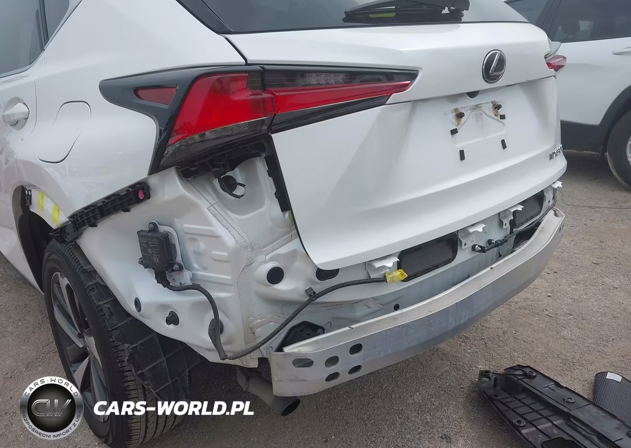 2019 Lexus Nx 300 VIN:JTJYARBZ2K2134657 - 17