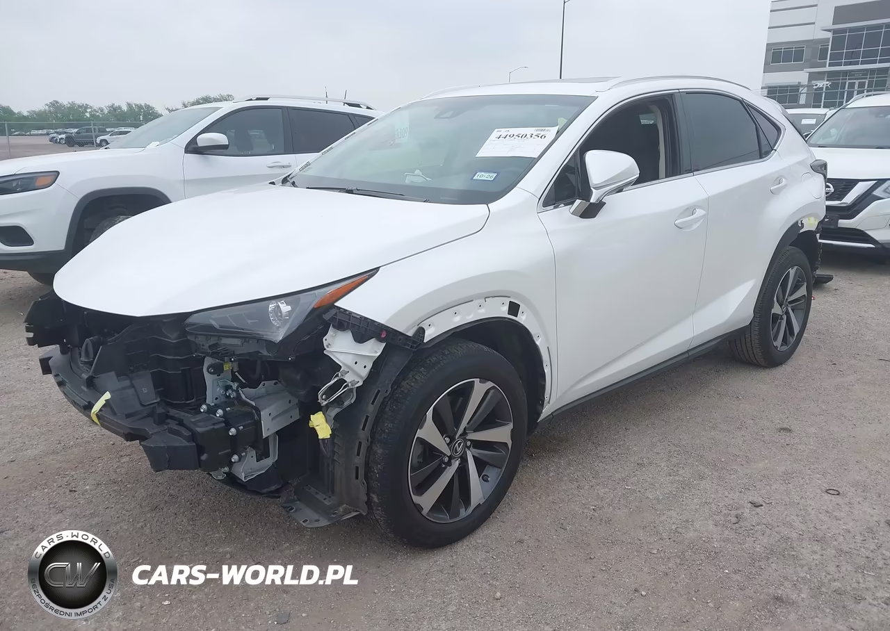 2019 Lexus Nx 300 VIN:JTJYARBZ2K2134657 - 2