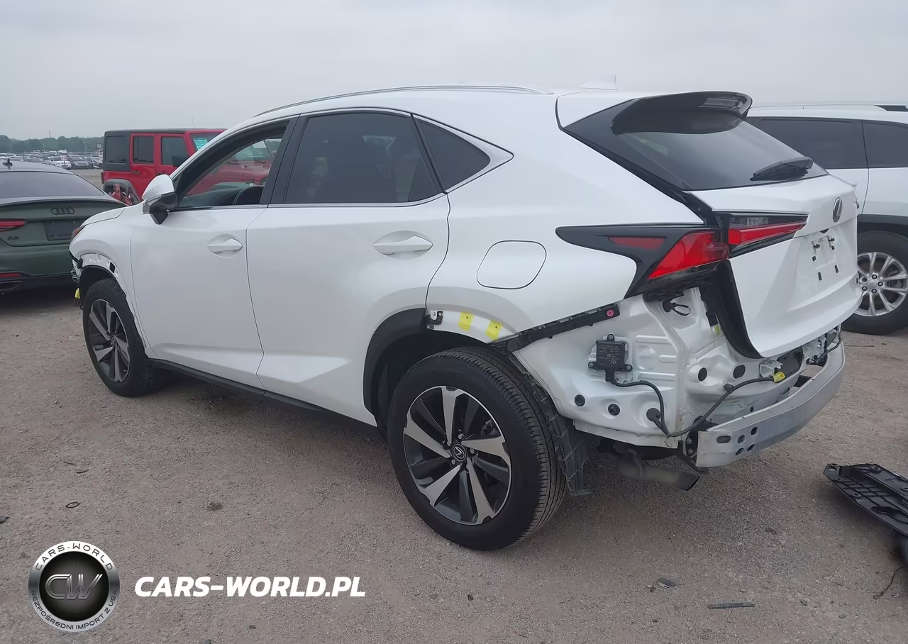 2019 Lexus Nx 300 VIN:JTJYARBZ2K2134657 - 3