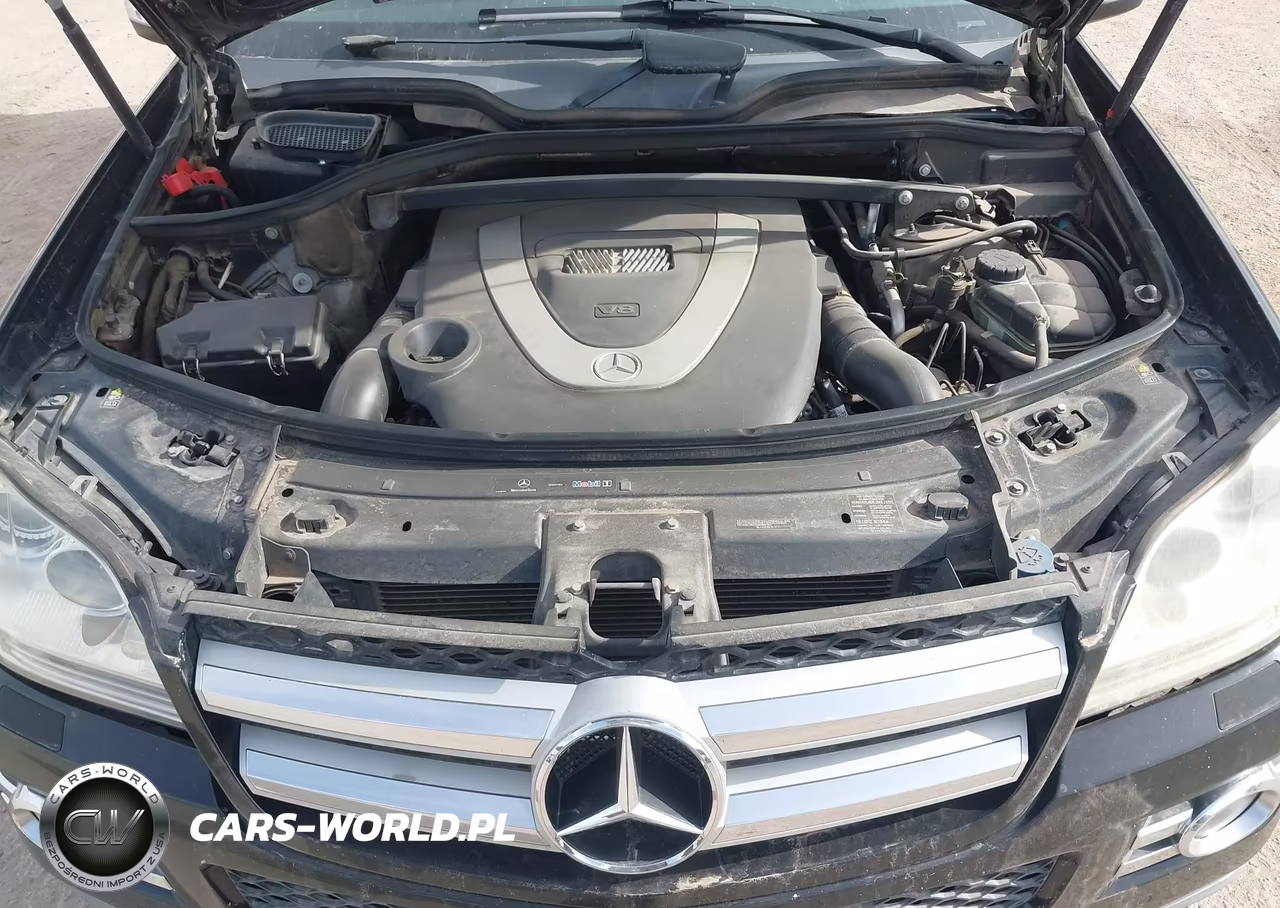 2008 Mercedes-Benz Gl 450 4Matic VIN:4JGBF71EX8A320406 - 10
