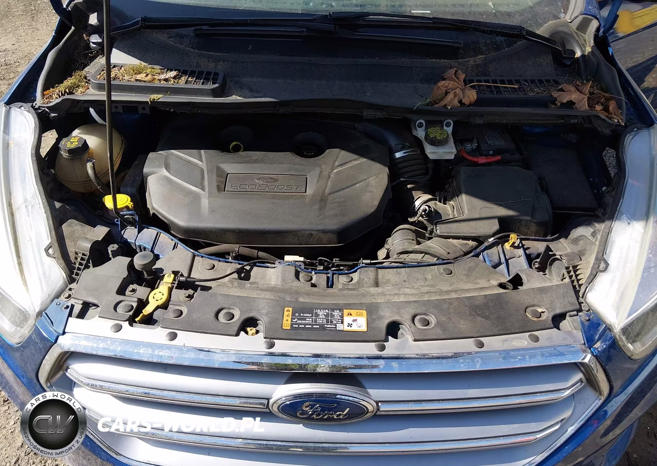2017 Ford Escape Se VIN:1FMCU0G93HUD43147 - 10