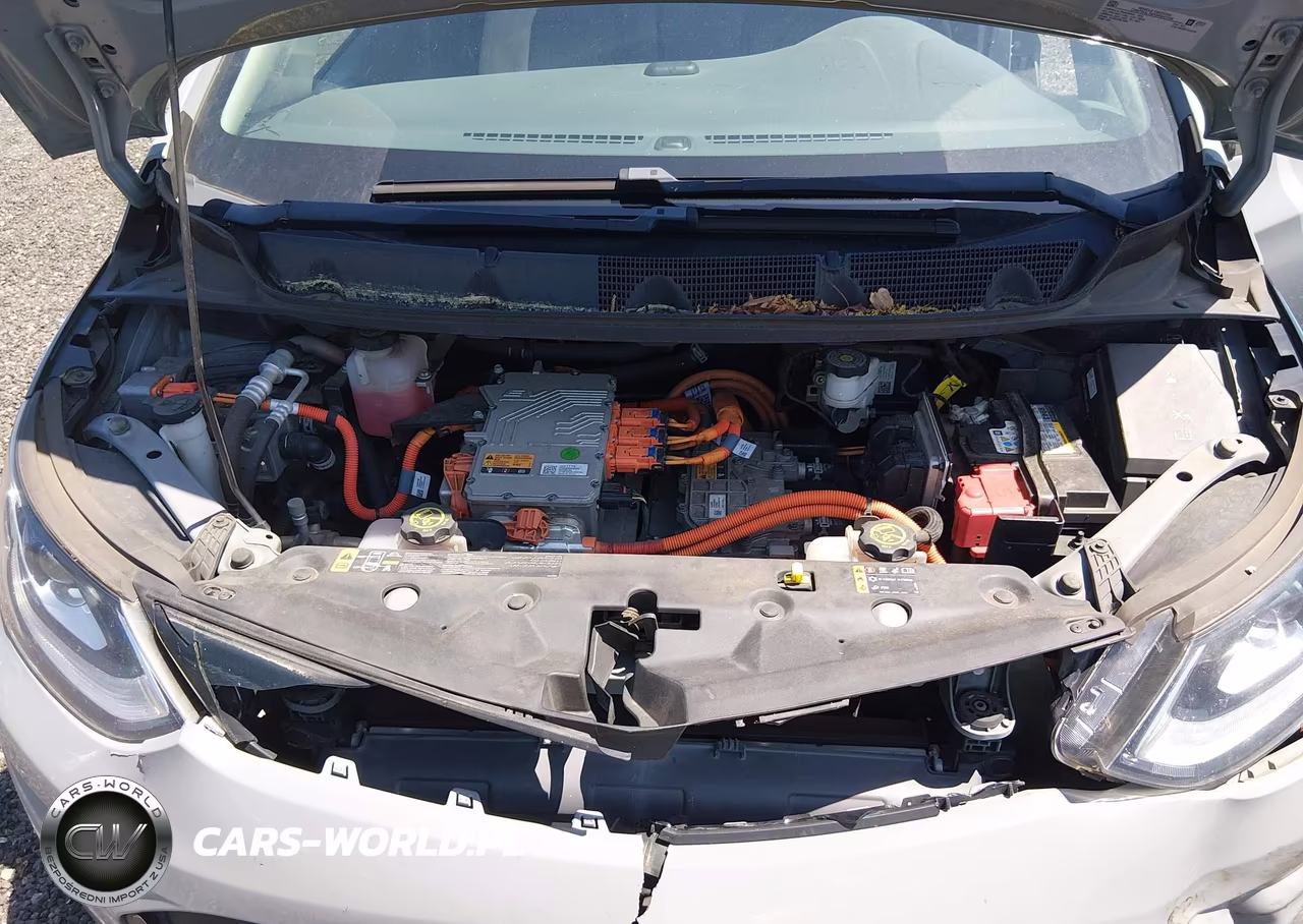 2019 Chevrolet Bolt Ev Lt VIN:1G1FY6S05K4114048 - 10