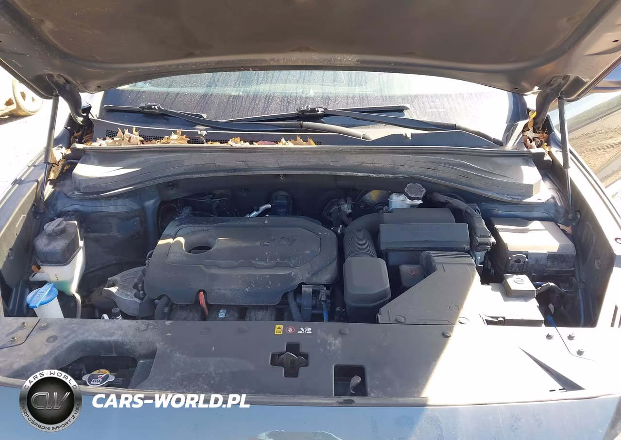 2020 Hyundai Santa Fe Se VIN:5NMS2CAD7LH239698 - 10