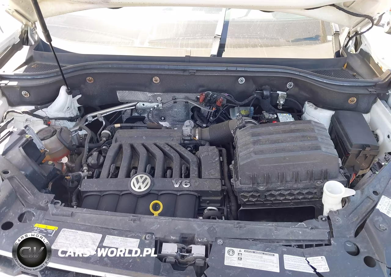 2019 Volkswagen Atlas 3.6L V6 Se W-Technology VIN:1V2UR2CA6KC558801 - 10
