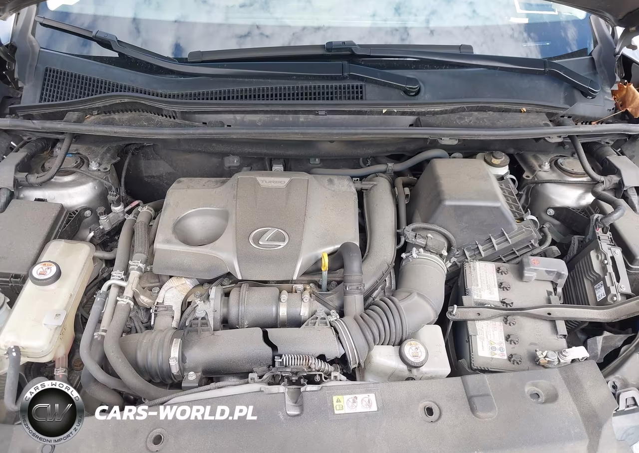 2021 Lexus Nx 300 VIN:JTJDARDZ7M2241122 - 10