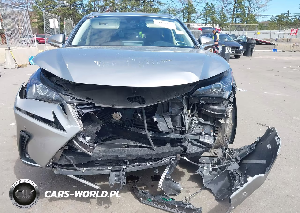 2021 Lexus Nx 300 VIN:JTJDARDZ7M2241122 - 12