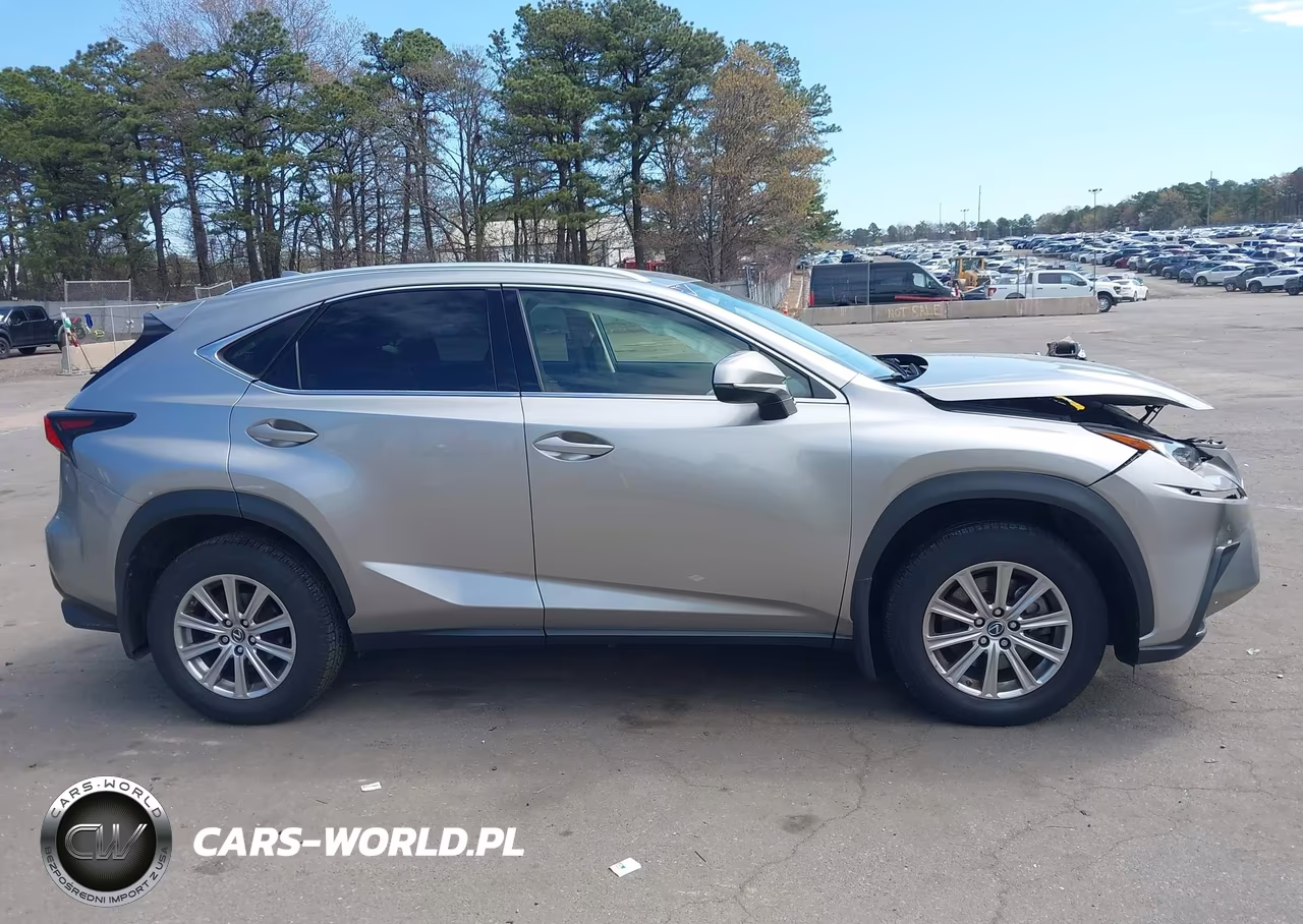 2021 Lexus Nx 300 VIN:JTJDARDZ7M2241122 - 13