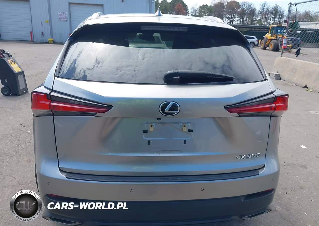 2021 Lexus Nx 300 VIN:JTJDARDZ7M2241122 - 16