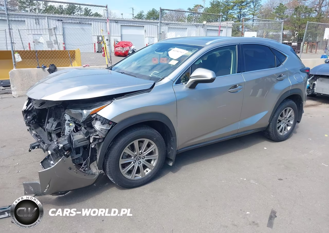 2021 Lexus Nx 300 VIN:JTJDARDZ7M2241122 - 2