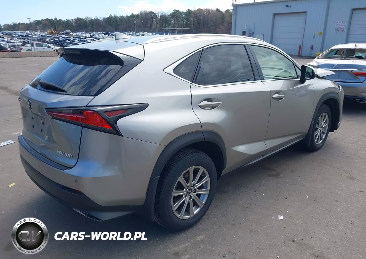 2021 Lexus Nx 300 VIN:JTJDARDZ7M2241122 - 4