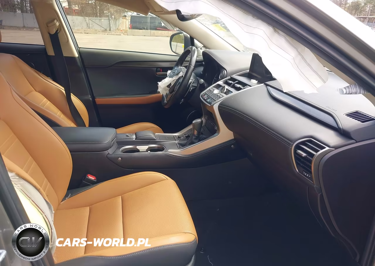 2021 Lexus Nx 300 VIN:JTJDARDZ7M2241122 - 5