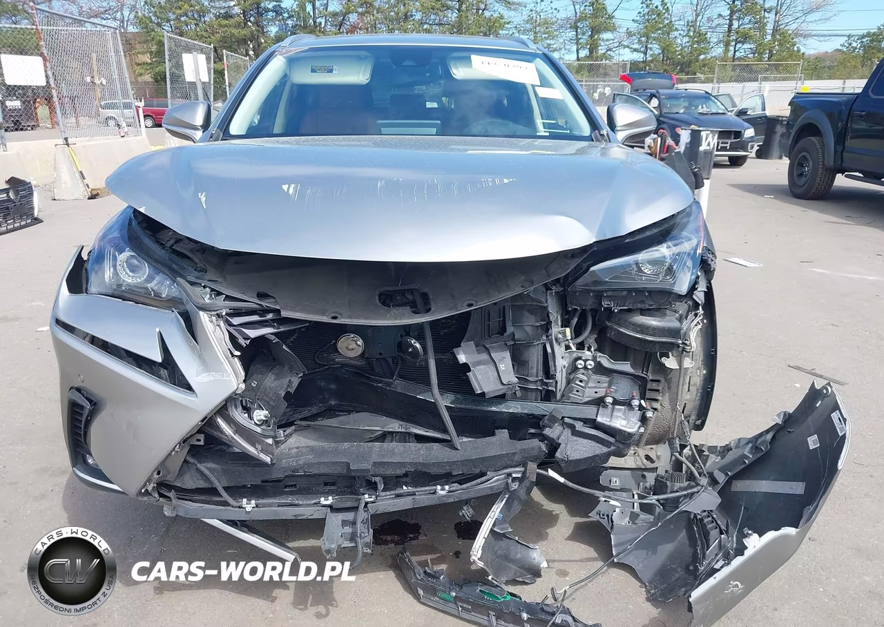 2021 Lexus Nx 300 VIN:JTJDARDZ7M2241122 - 6