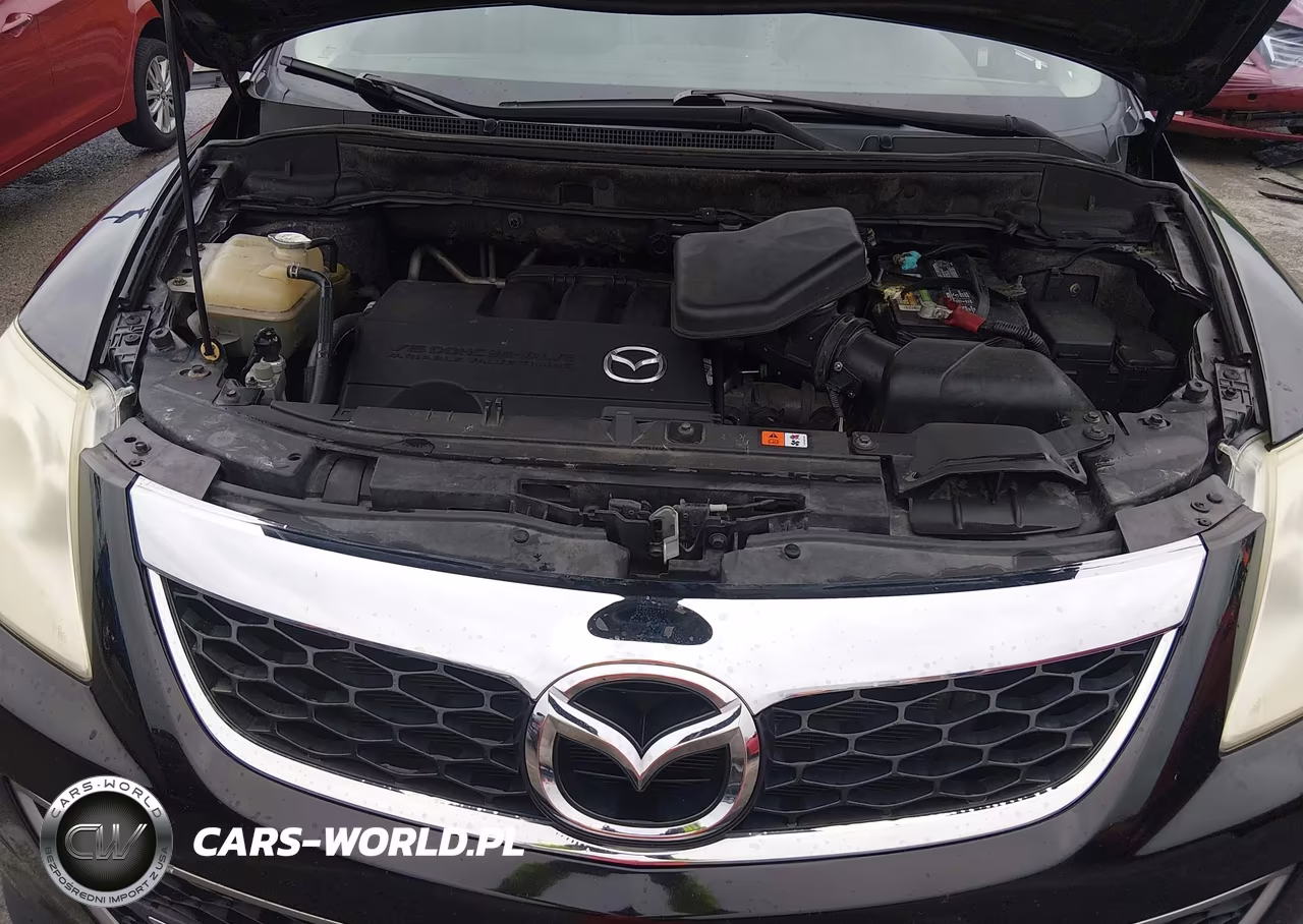 2011 Mazda Cx-9 Touring VIN:JM3TB2CA2B0330692 - 10