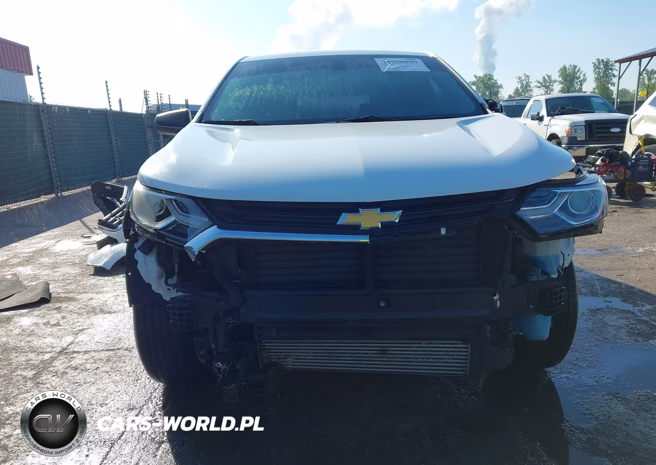 2019 Chevrolet Equinox Ls VIN:3GNAXSEV4KS565757 - 13