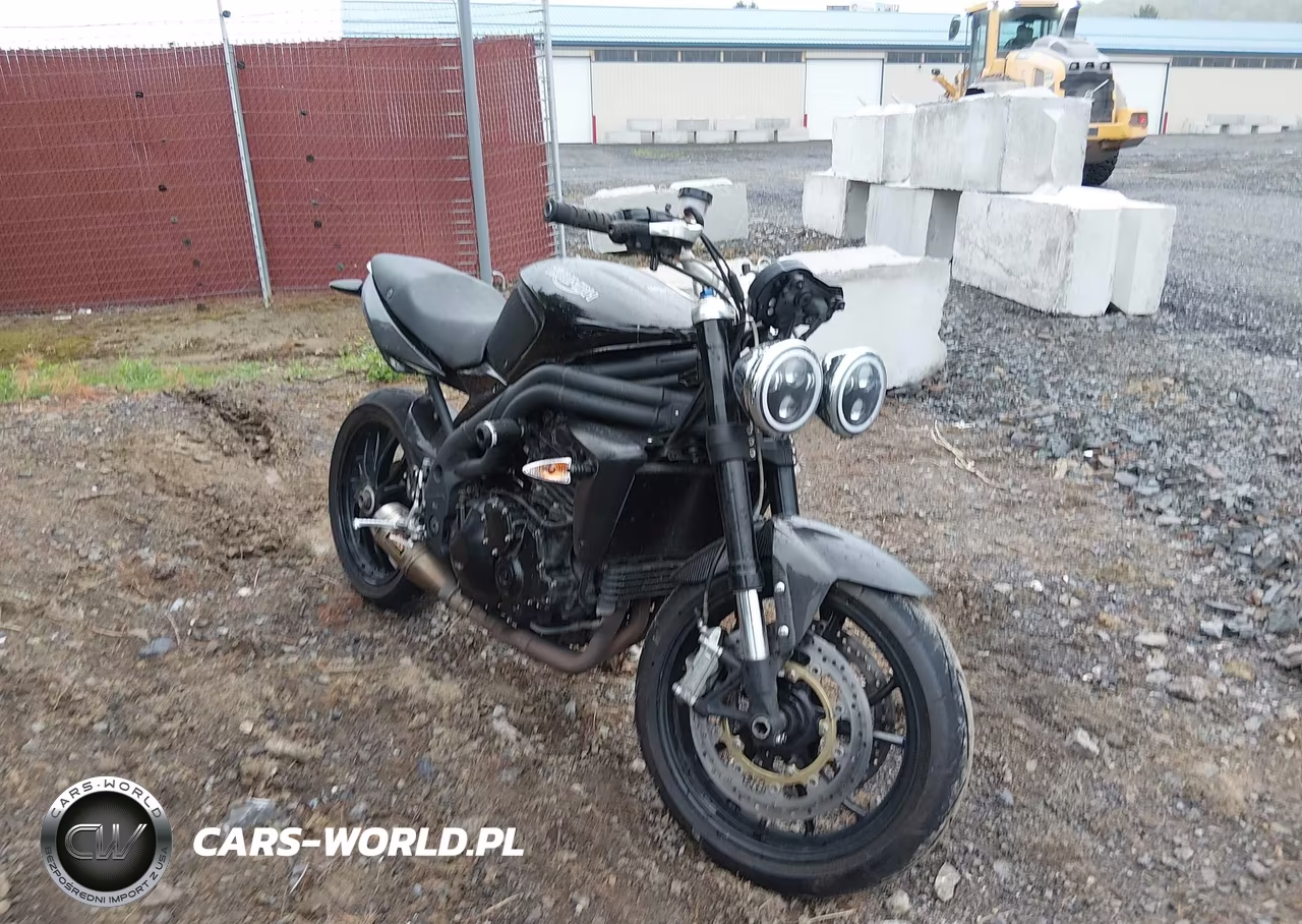 2009 Triumph Motorcycle Speed Triple – zdjęcie 1 z 13